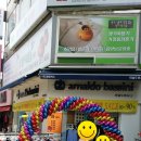 아날도바시니수원