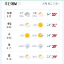 오전오후 Daum카페
