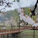 신상동 인공습지 이미지