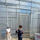 (주)위드벅스 네이버블로그