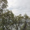 경기도 노지캠핑 - 제드와일드돔EX 예약없는 선착순 노지캠핑, 캠프닉 "양평리버앤힐"