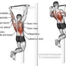 맨몸PT밴드운동 이미지