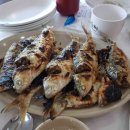 오늘더빛나개 이미지