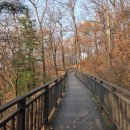 1월3일 (토) 중랑도보 ~ 160m 구간을 숲 위로 스카이워크길 이미지