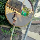 씨유 제주현사마을점 | [제주 제주시/이호테우해변] 제주도 이호테우해변...하우스 이호웨이브 숙박 포틀럭파티 내돈내산 후기