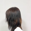 대전 미용실 후기 : 다비드 헤어 (내가 보려고 적는..)