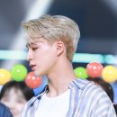 니피 이미지