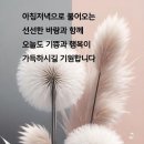 그대없는 빈자리 이미지