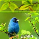 Mozart - Symphony No 25 g minor K183 이미지