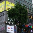 서윤피부맑음 수내점 이미지