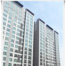 중앙동288 이미지