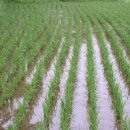 초형농장 이미지