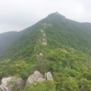 호남정맥 10-10구간(미사치~외망포구, 2019.5.25~26일)