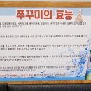 바람난 꾸미 이미지