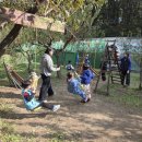 자연어린이집 | 우리들 자연학교 10월 29일 경찰청 어린이집 수업 후기