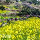 색달동-19 이미지