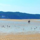 노을에기댄언덕 이미지