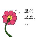 카페일주일 이미지