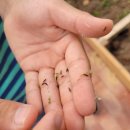 김제학생교육문화관 금산분관 이미지