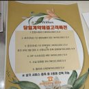 광주 웨딩홀 위더스 홀투어 후기❤️💍(26년 상반기 계약완료)