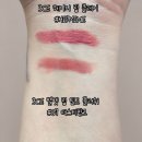더스키 | 3CE 헤이지 립 클레이 힙마인 vs 벨벳 립 틴트 플러쉬 더스키핑크｜웜톤·쿨톤 뮤트 립 비교 후기