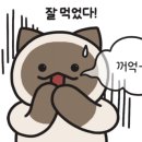 막창도둑 이미지
