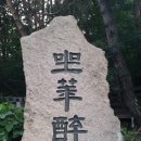 좌화취월 이미지