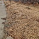 청통면사무소 이미지