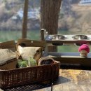 덴탈투게더 이미지