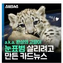(주)아이어스 이미지