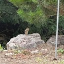 준원하우스 이미지