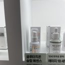 대전 유성 유성온천역 시드물 매장 오프라인 다녀온 후기