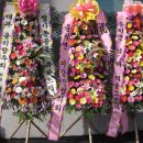 웅치면사무소 이미지