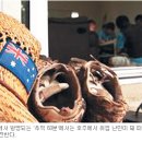대국축산 이미지