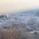 비밀정원12 이미지