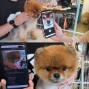 에브리랩 이미지