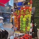 하오 탕후루 이미지
