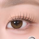다비치렌즈 2쌍 (4P) 6,600원 (~10.31.) 이미지