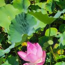 오천그린광장 이미지