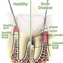 강화치과의원 이미지