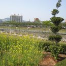 서천운동장 이미지