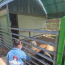 난타고고장구 | 남양주 어린이체험, 주말에 아기랑 가기 좋은곳 안데르센정원(동물먹이, 모래놀이, 썰매타기 등등)