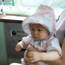 홍원목장 이미지