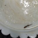 낙원지역아동센터 이미지