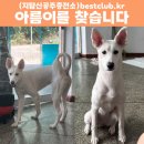 아름이