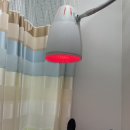 연세에이스정형외과의원 이미지