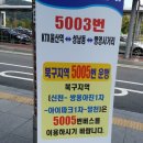 신천(25305) 이미지