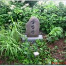 석포로 이미지