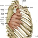 아주대PT 아이디얼짐 이미지