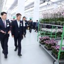 원당종합시장 이미지